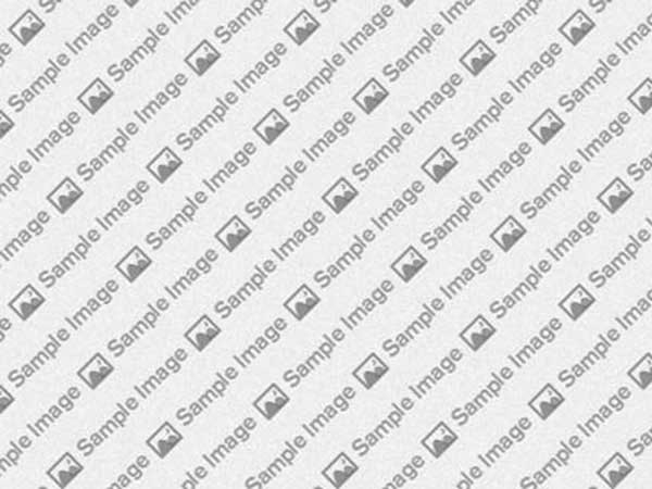 Display Your Content Your Way with BookBlock